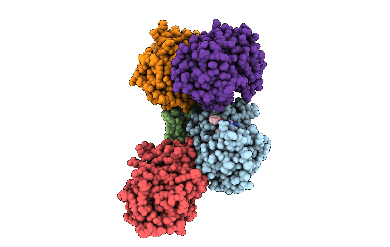 4QH6 image