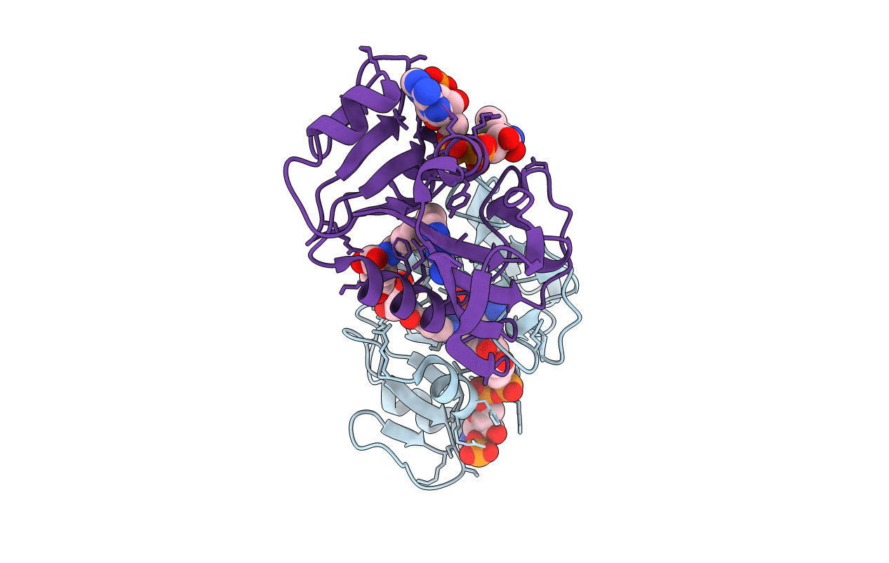 4QLG image