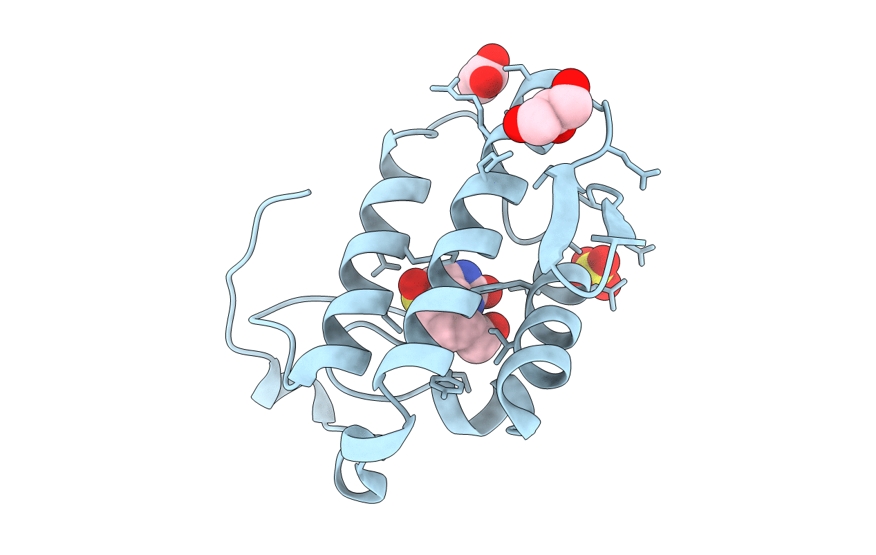4QMC image