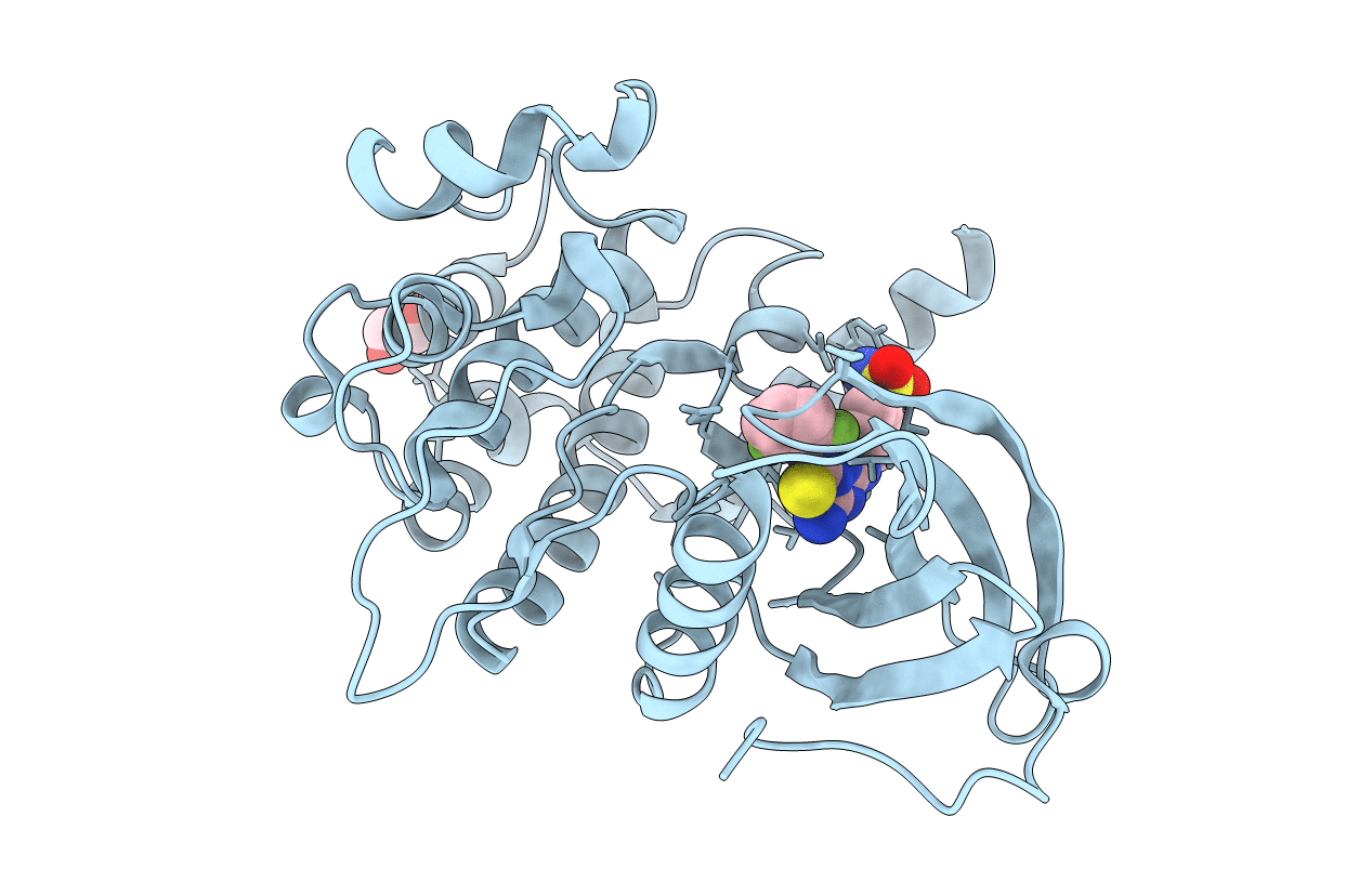 4QMP image