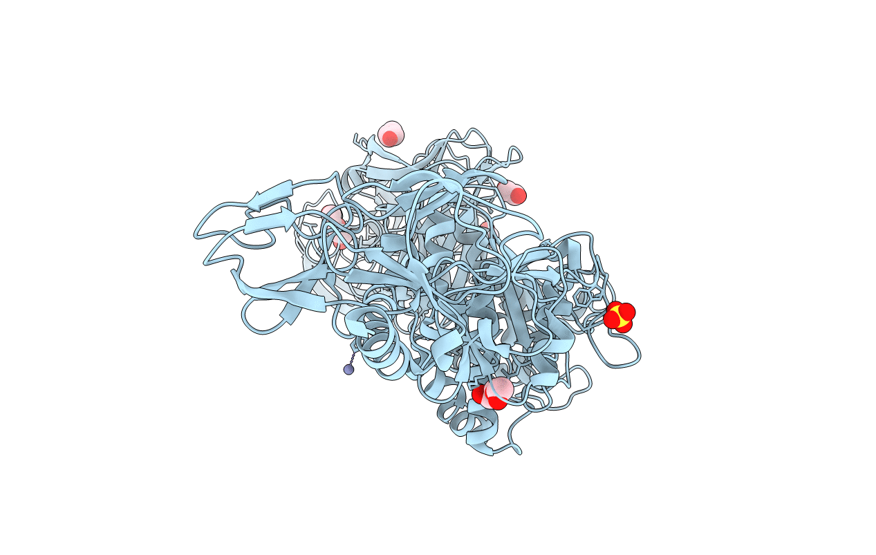 4QNL image