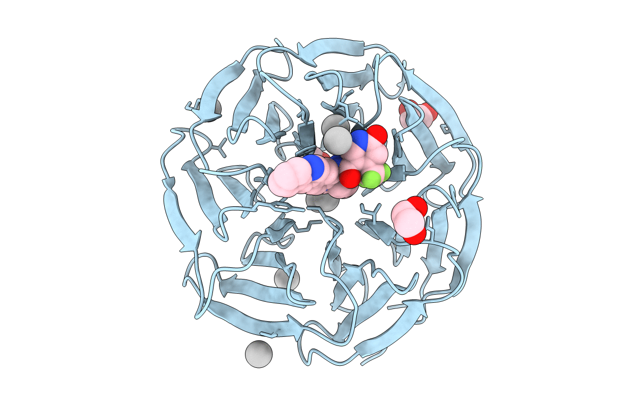 4QQE image