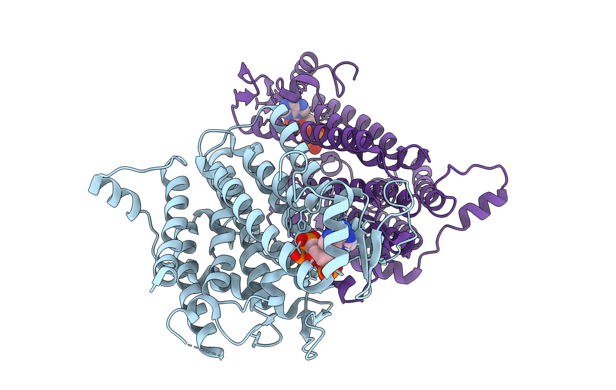 4QUV image