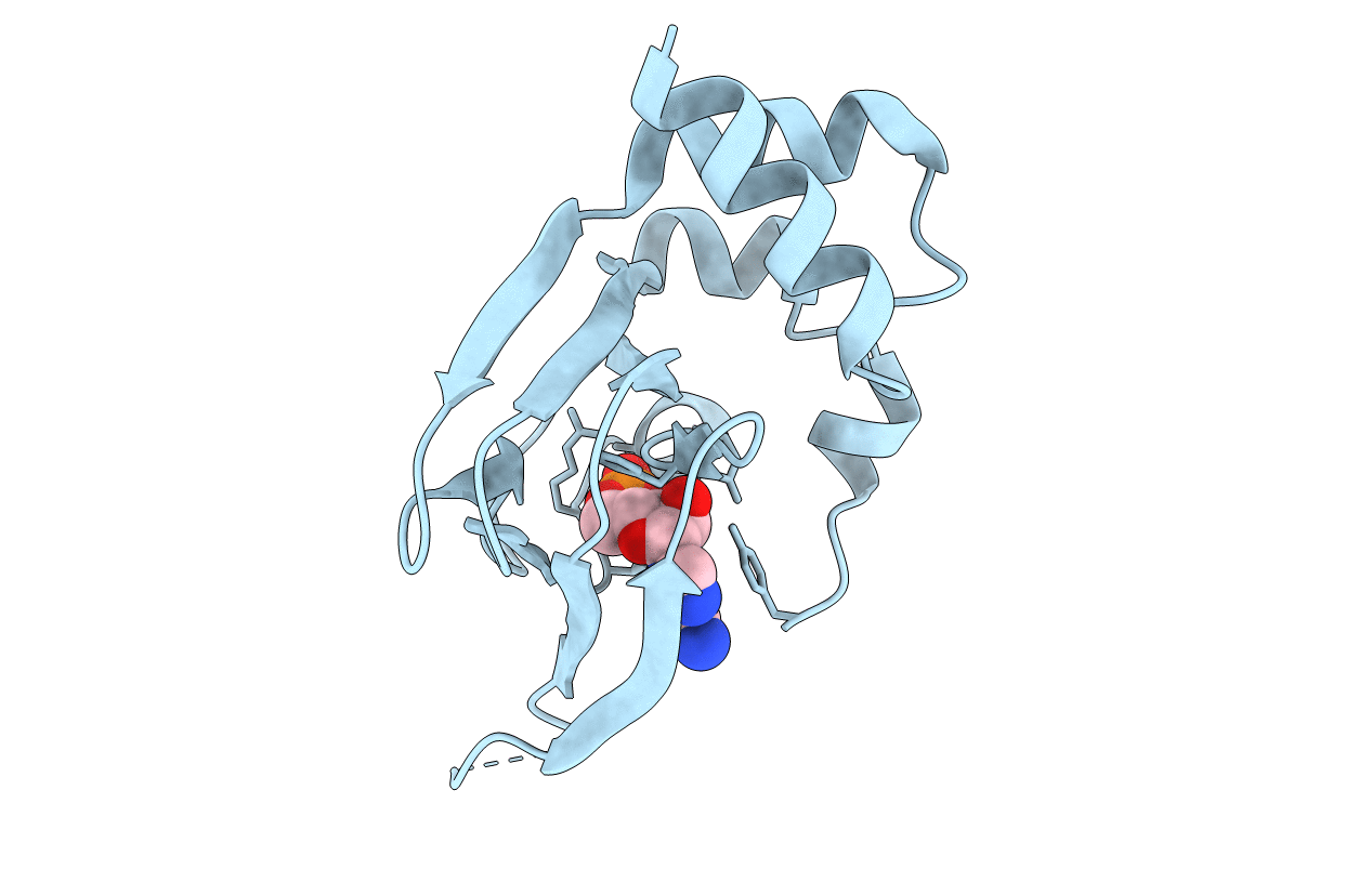 4QX5 image