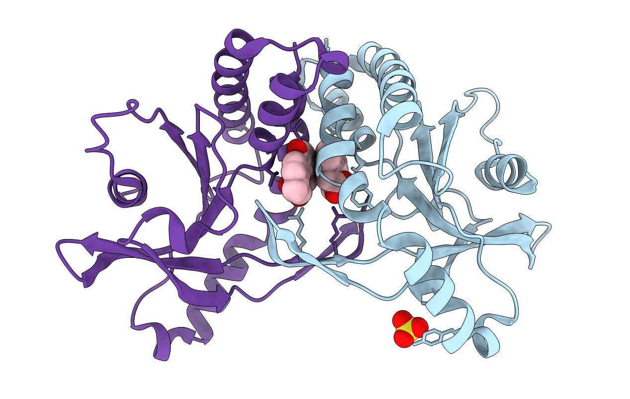 4QXR image