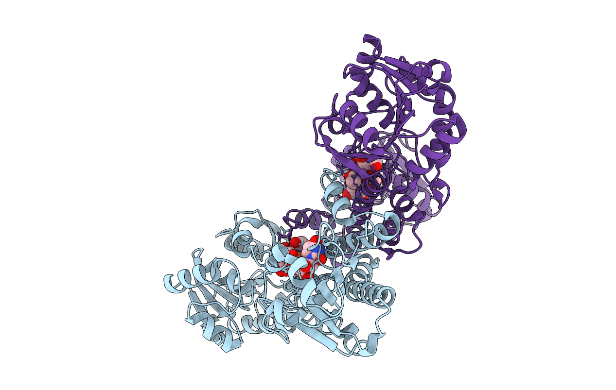 4R16 image