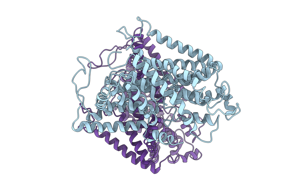 4R1I image