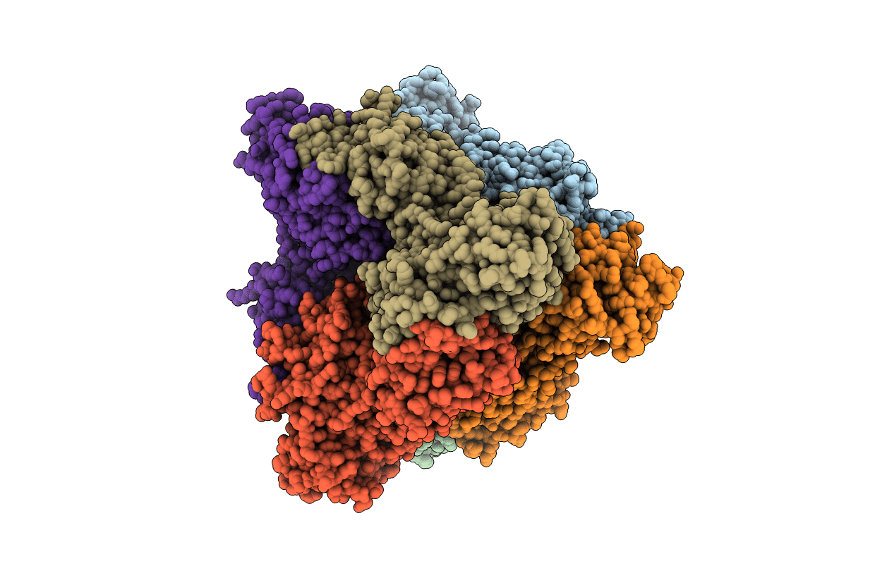 4R1P image
