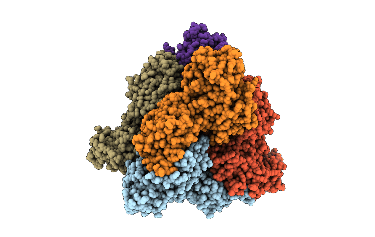 4R1Q image