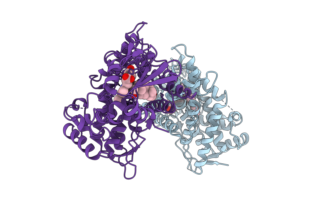 4R21 image