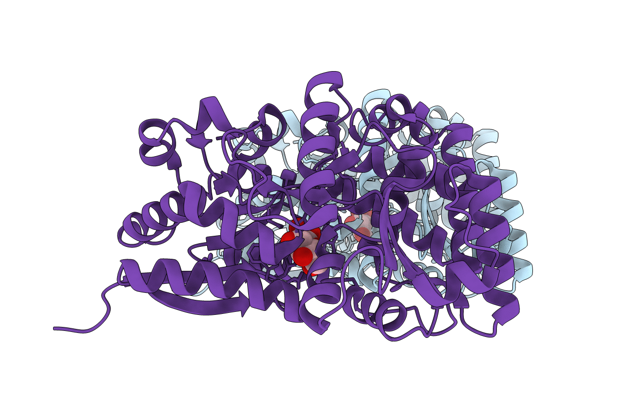 4R2B image