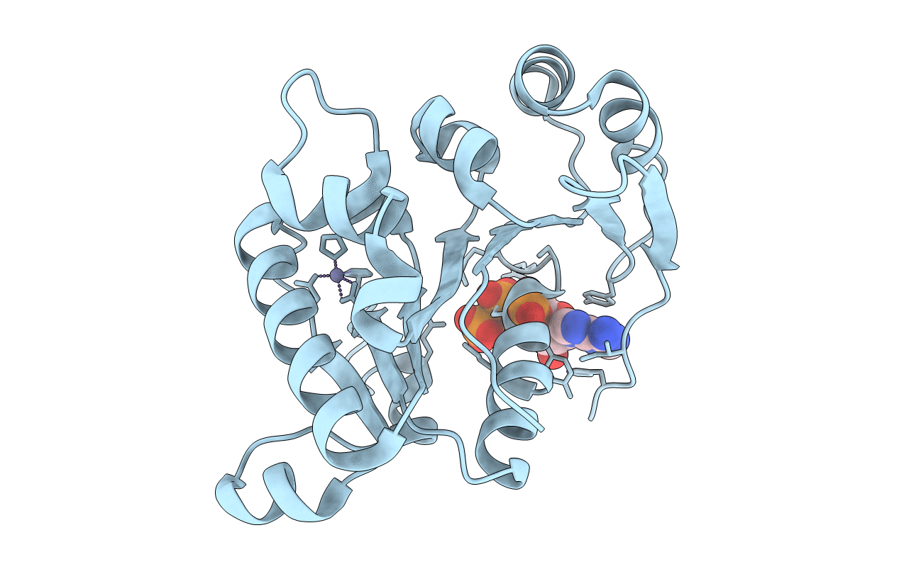 4R2I image