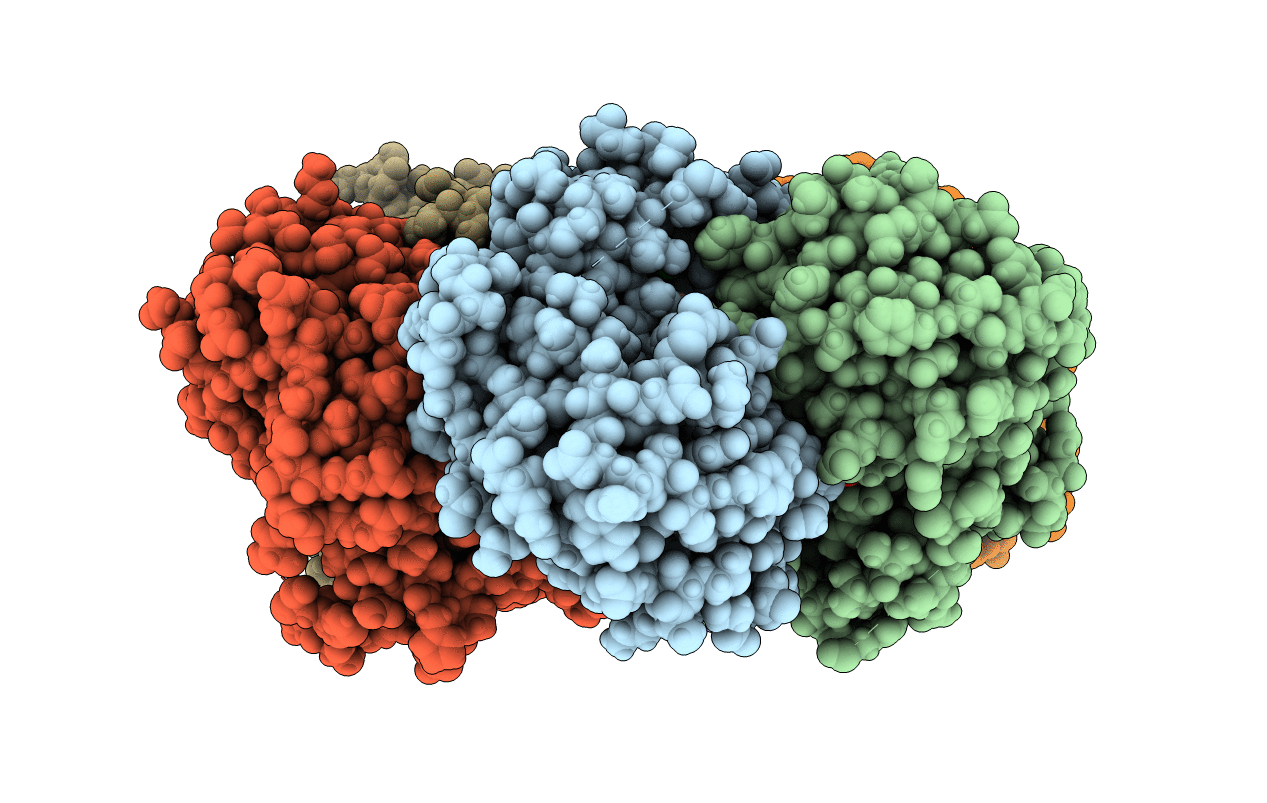 4R2X image