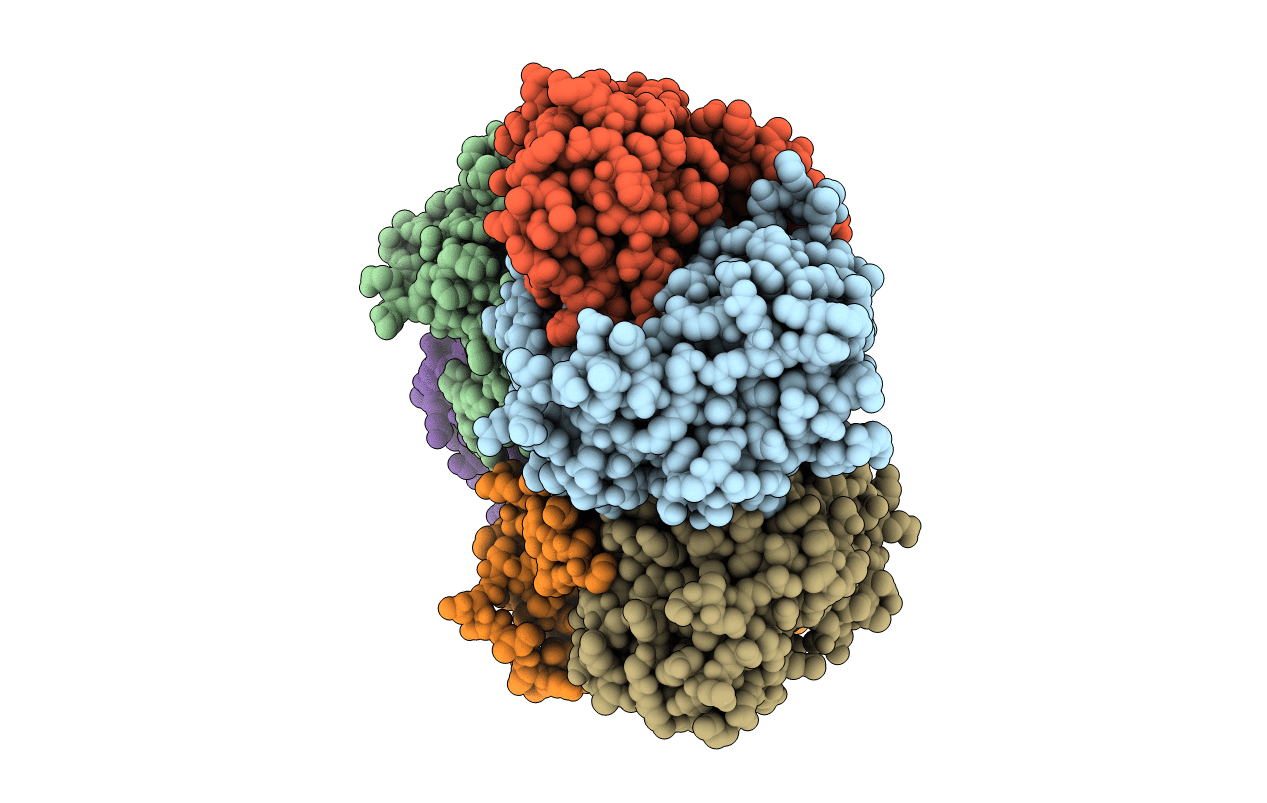 4R31 image