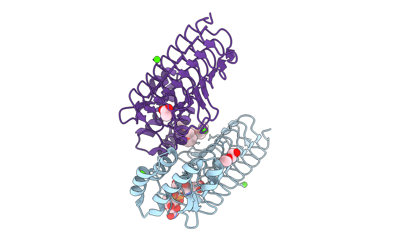 4R37 image