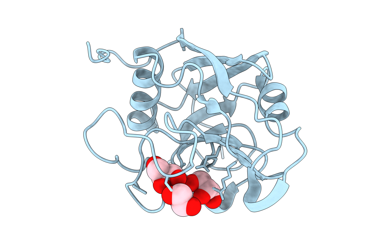 4R3E image