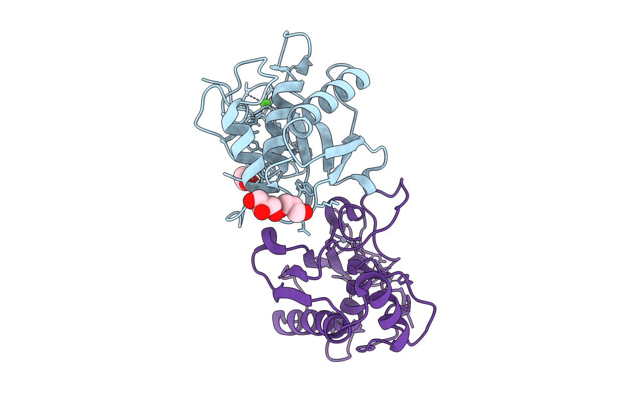 4R3V image