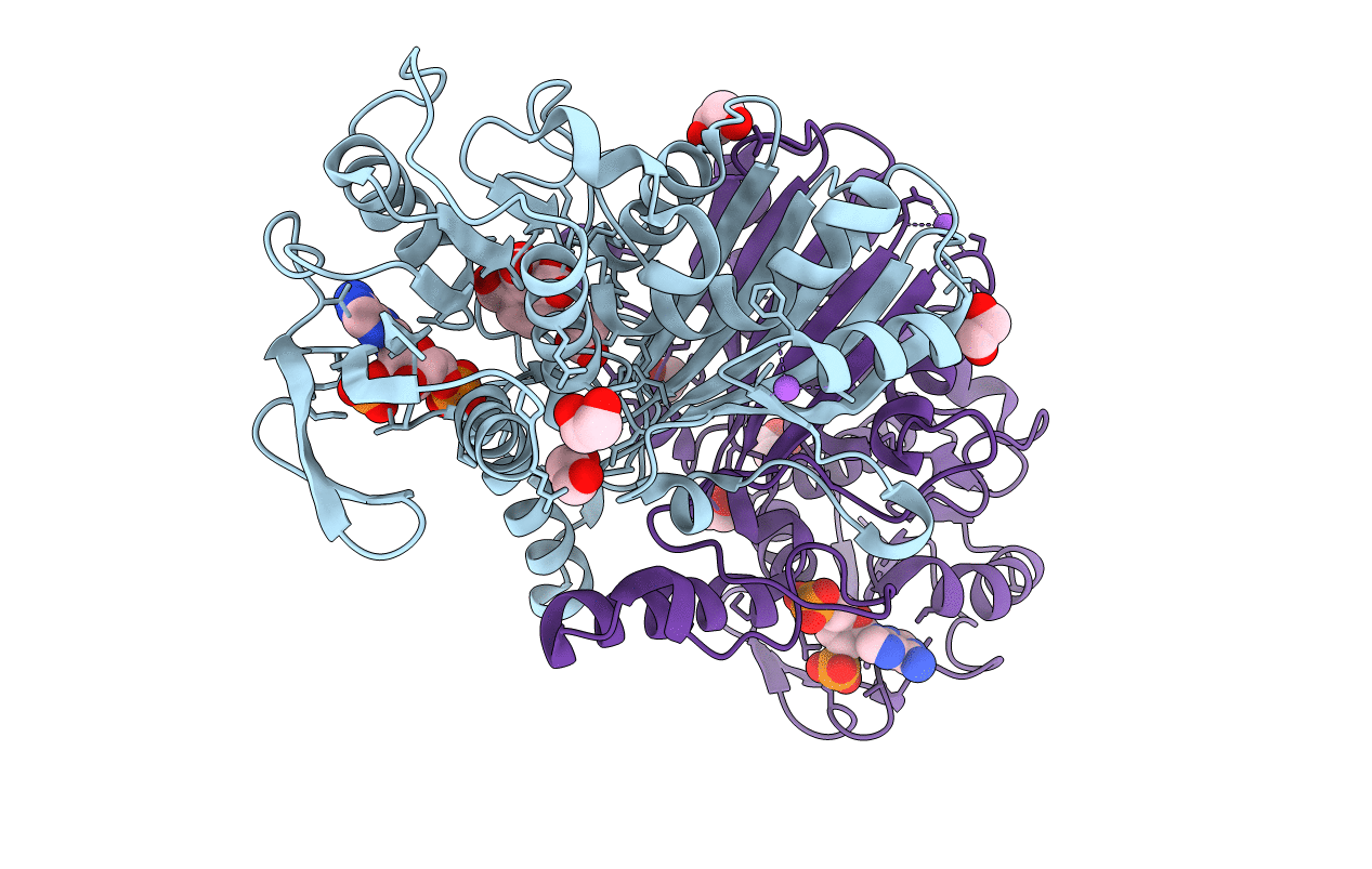 4R3W image