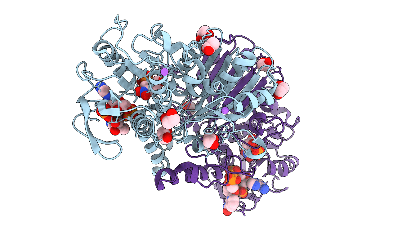 4R41 image