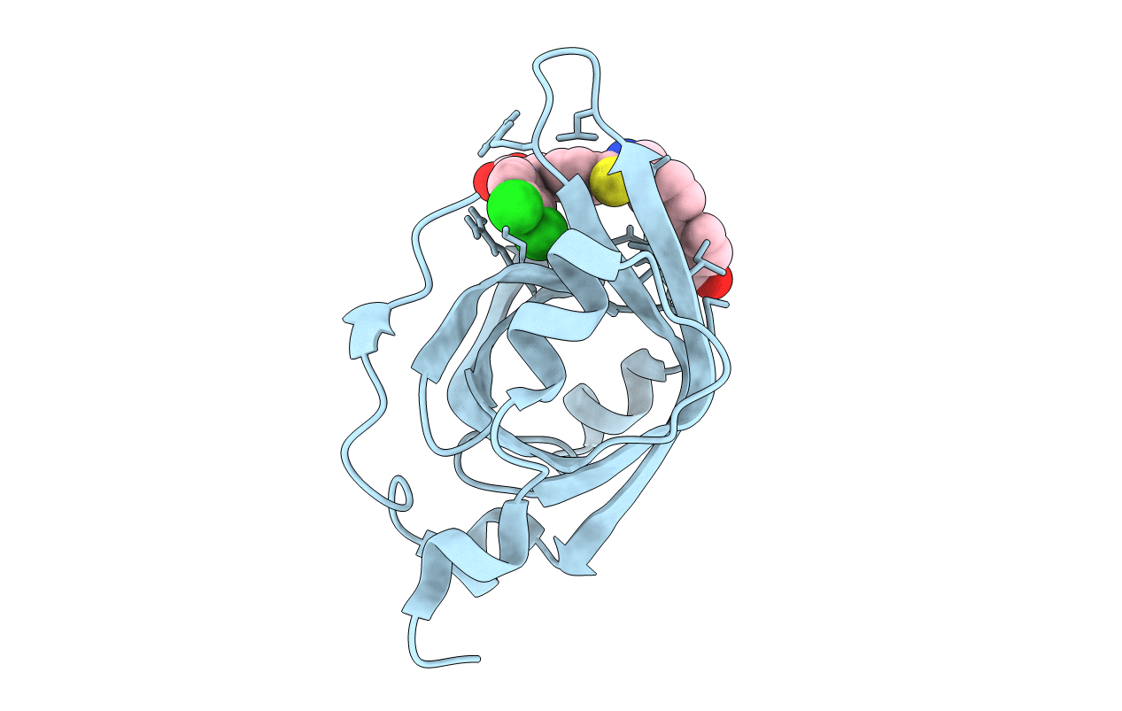 4R4O image