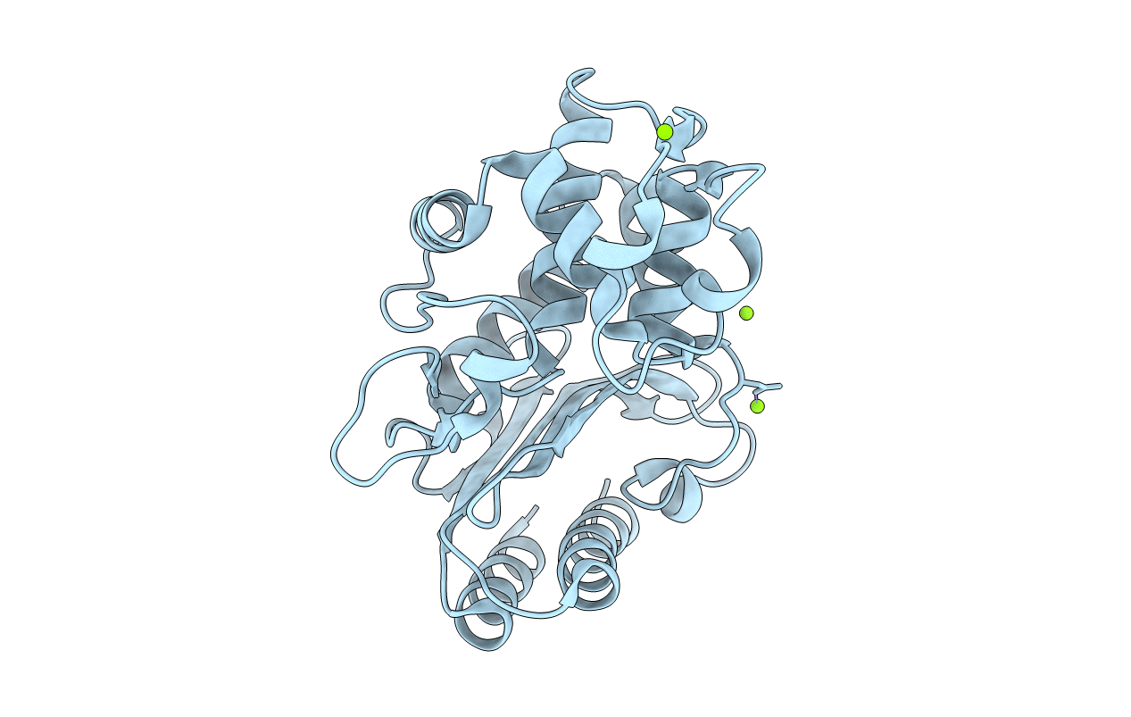 4R4R image