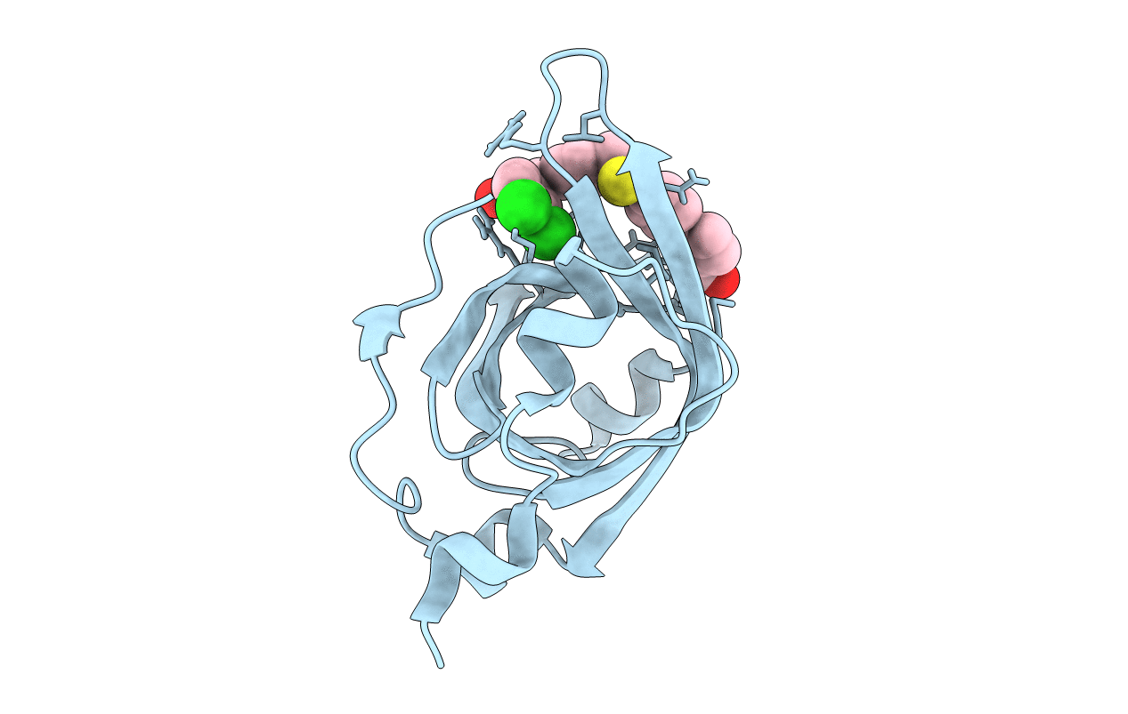 4R4T image