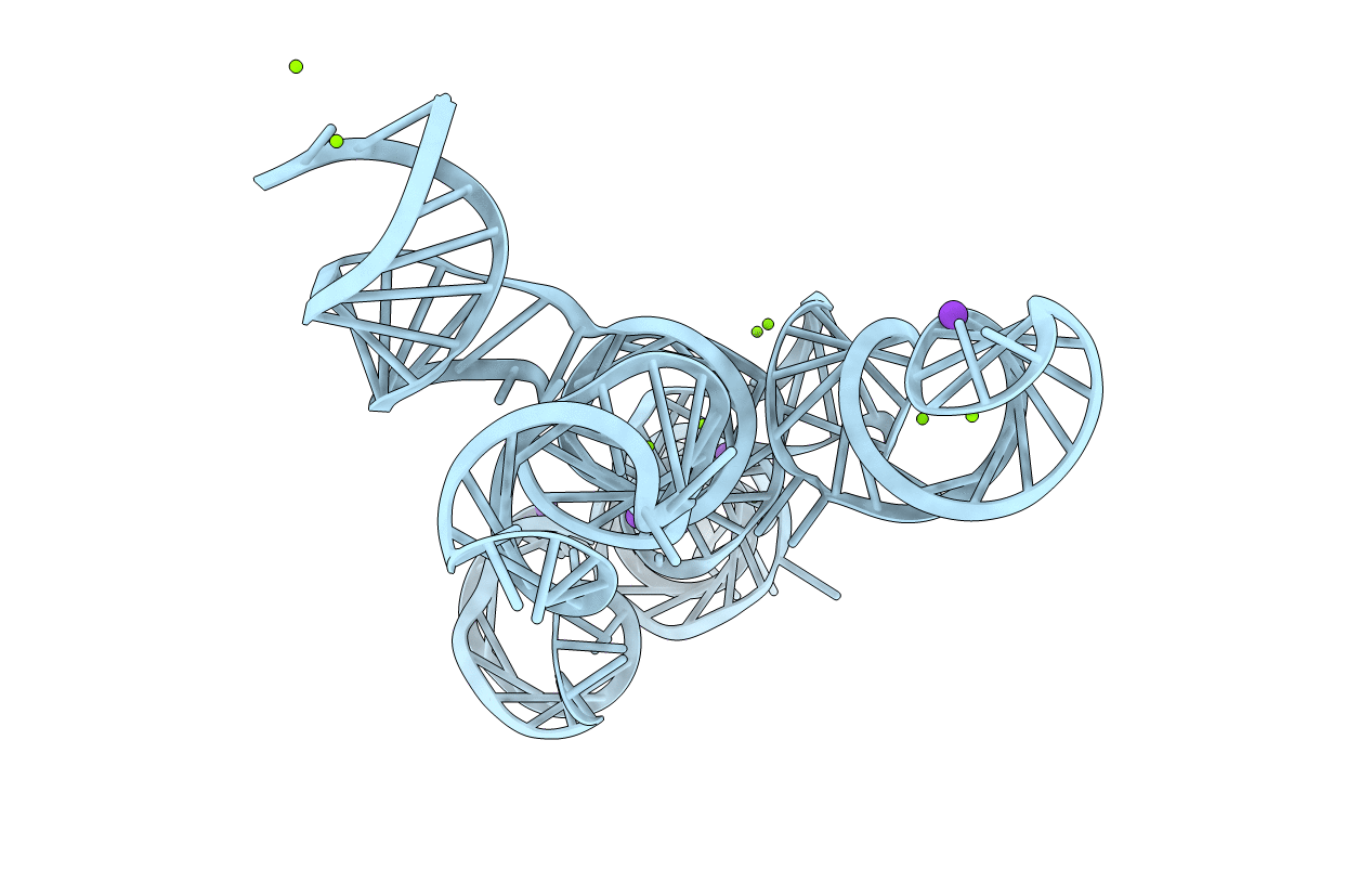 4R4V image