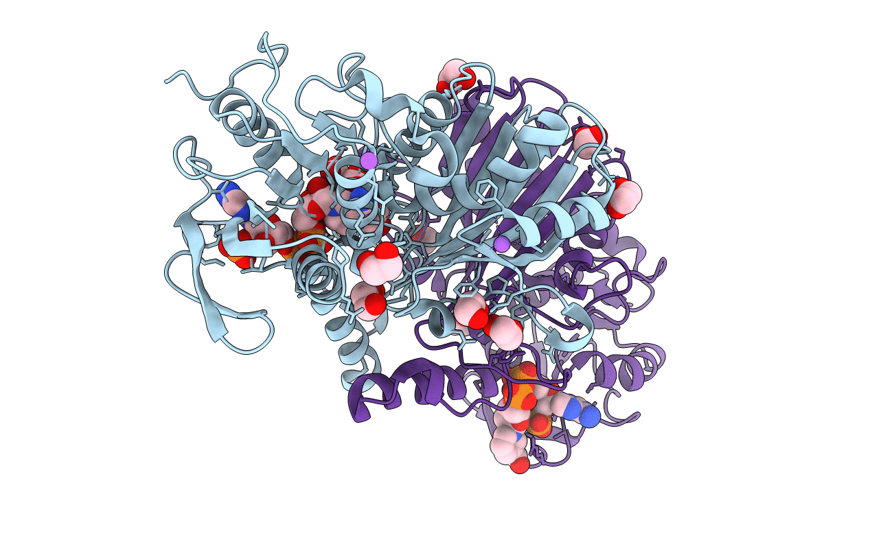 4R51 image