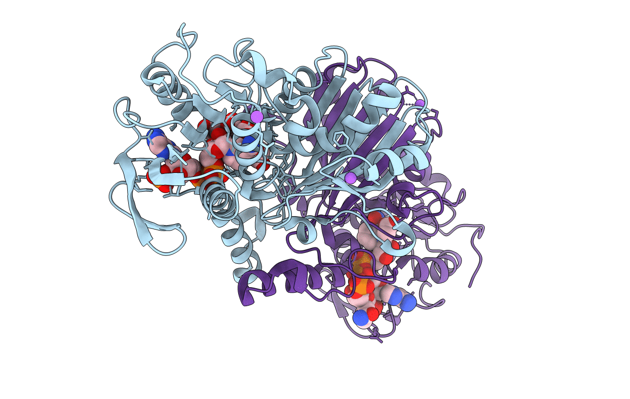 4R54 image