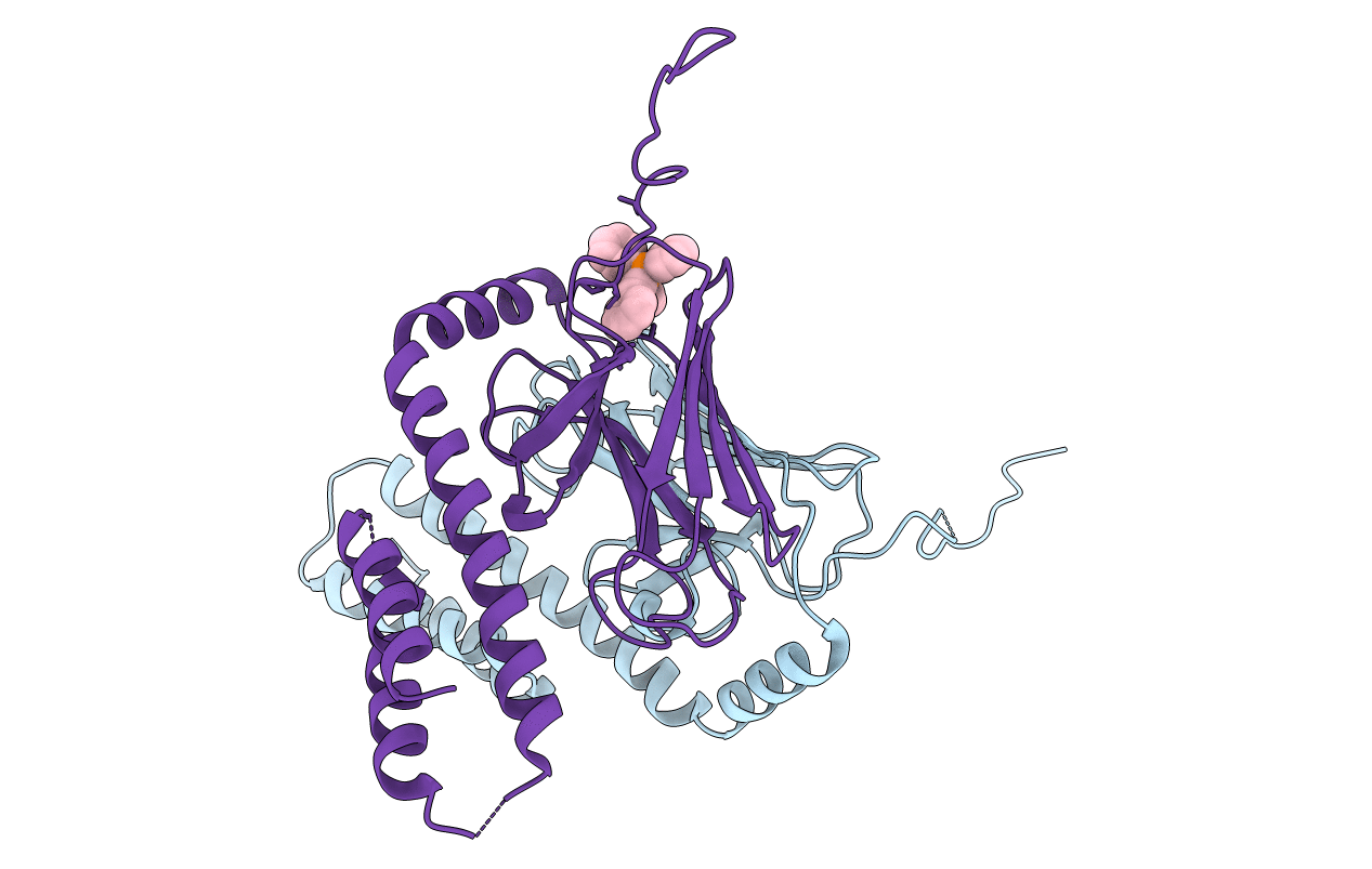 4R5G image