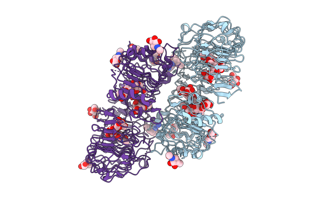 4R6A image