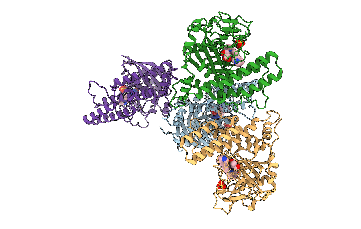 4R6E image