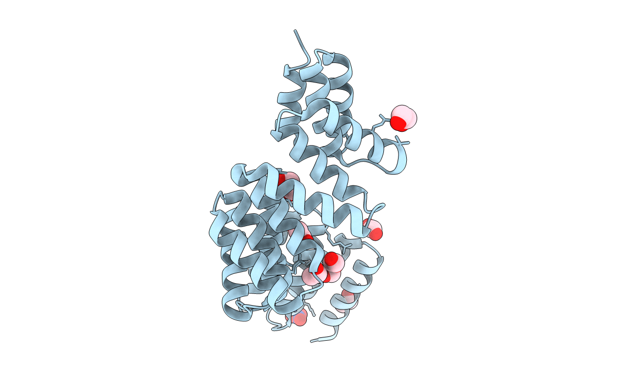4R7S image