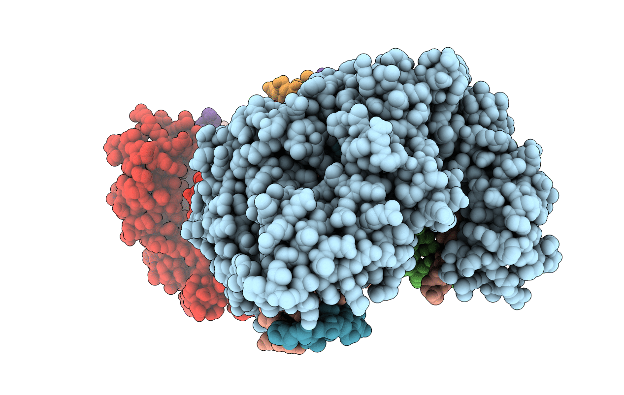 4R89 image