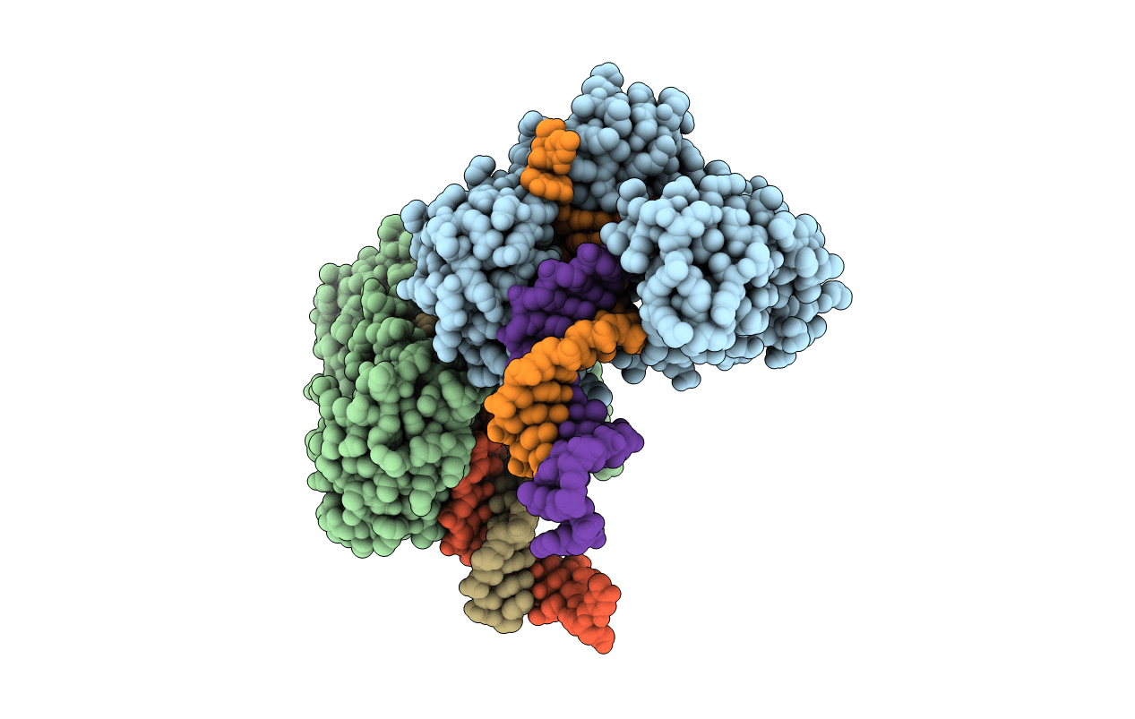 4R8U image