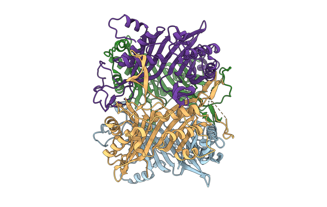 4R8X image