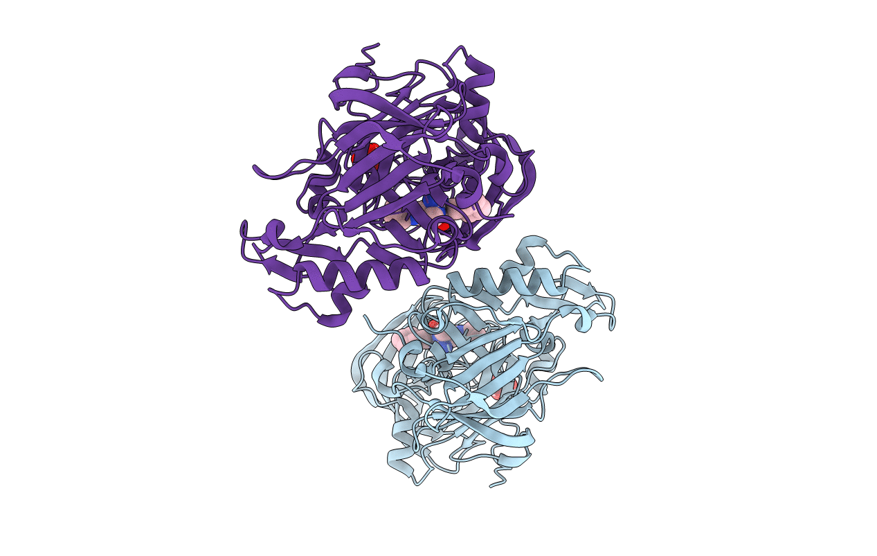 4R91 image