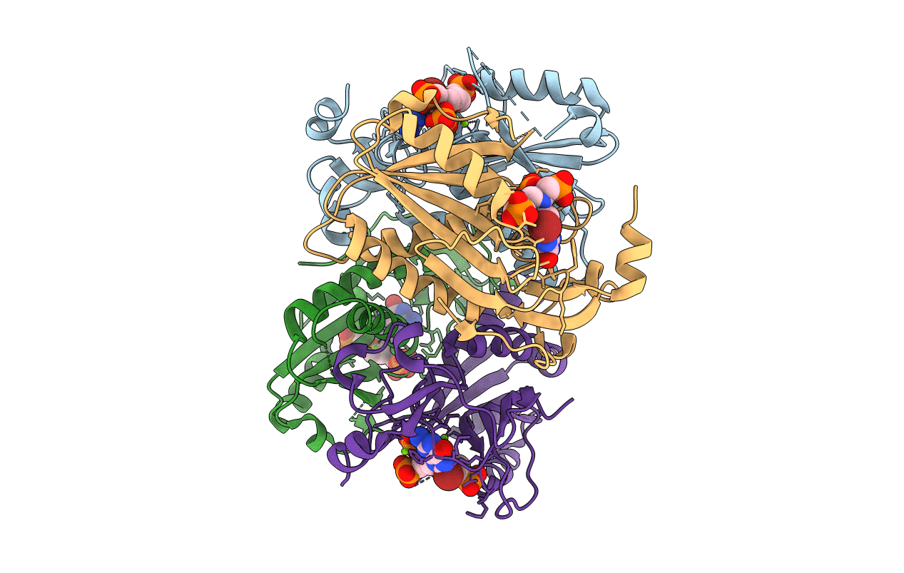 4RAB image