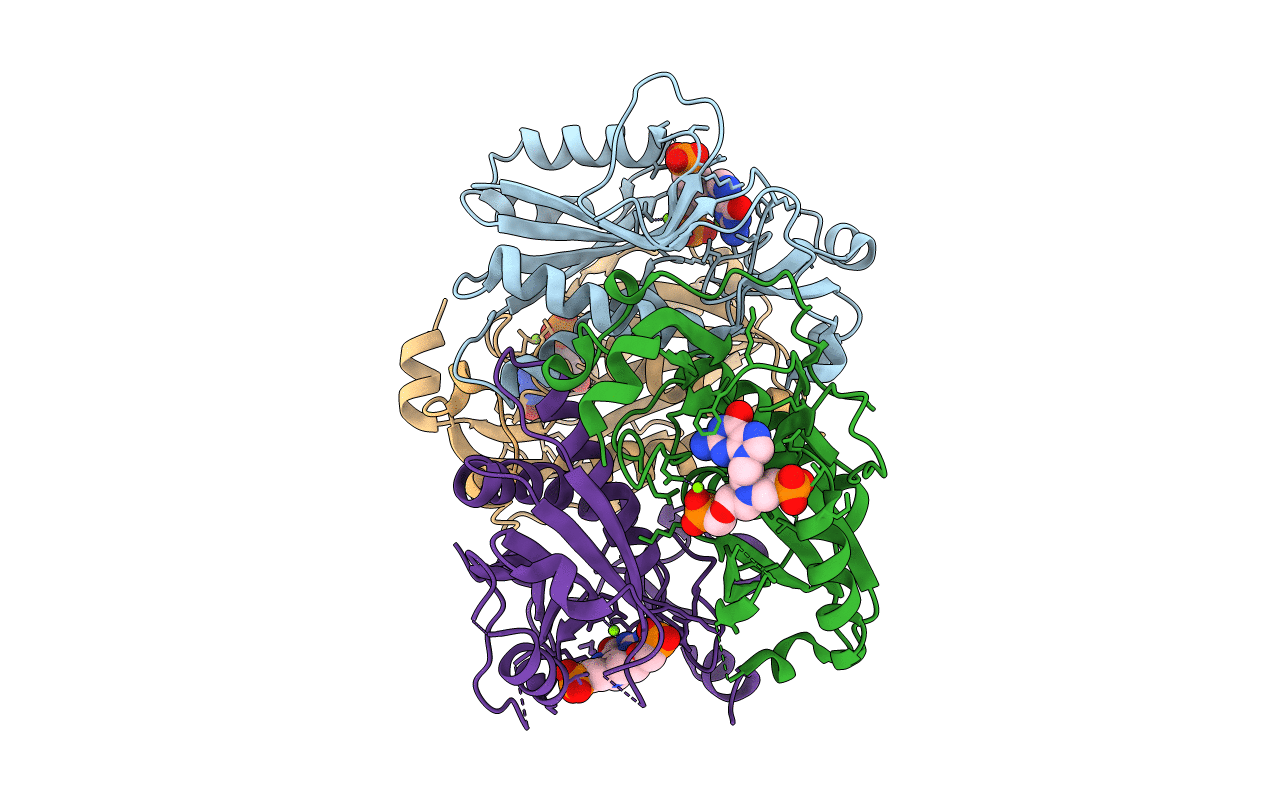 4RAC image