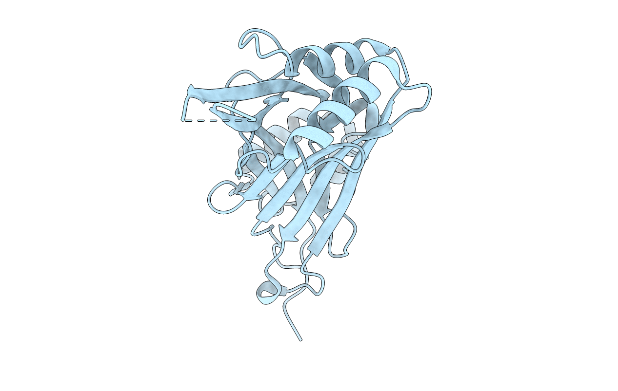 4RAX image