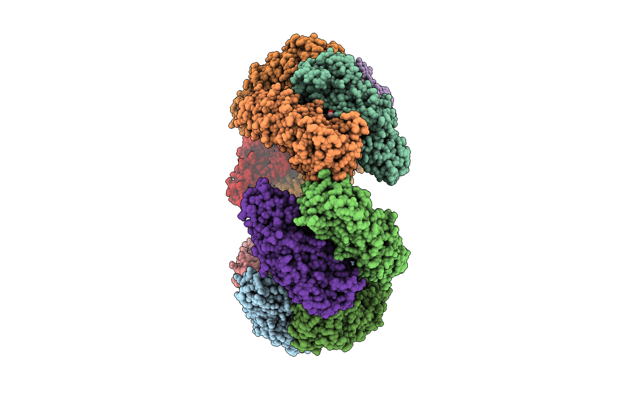 4RB4 image