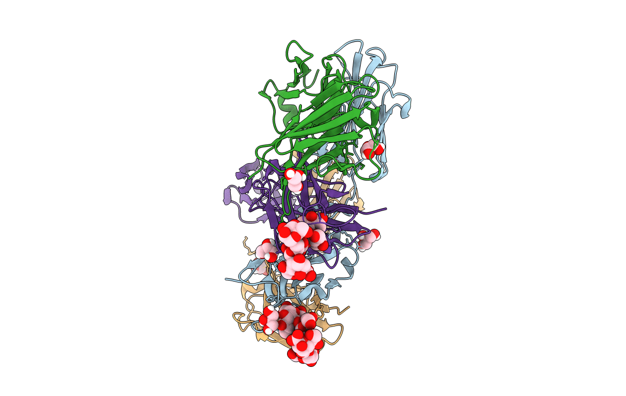 4RBP image