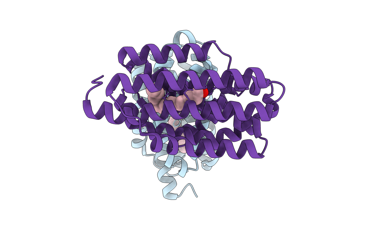 4RC5 image