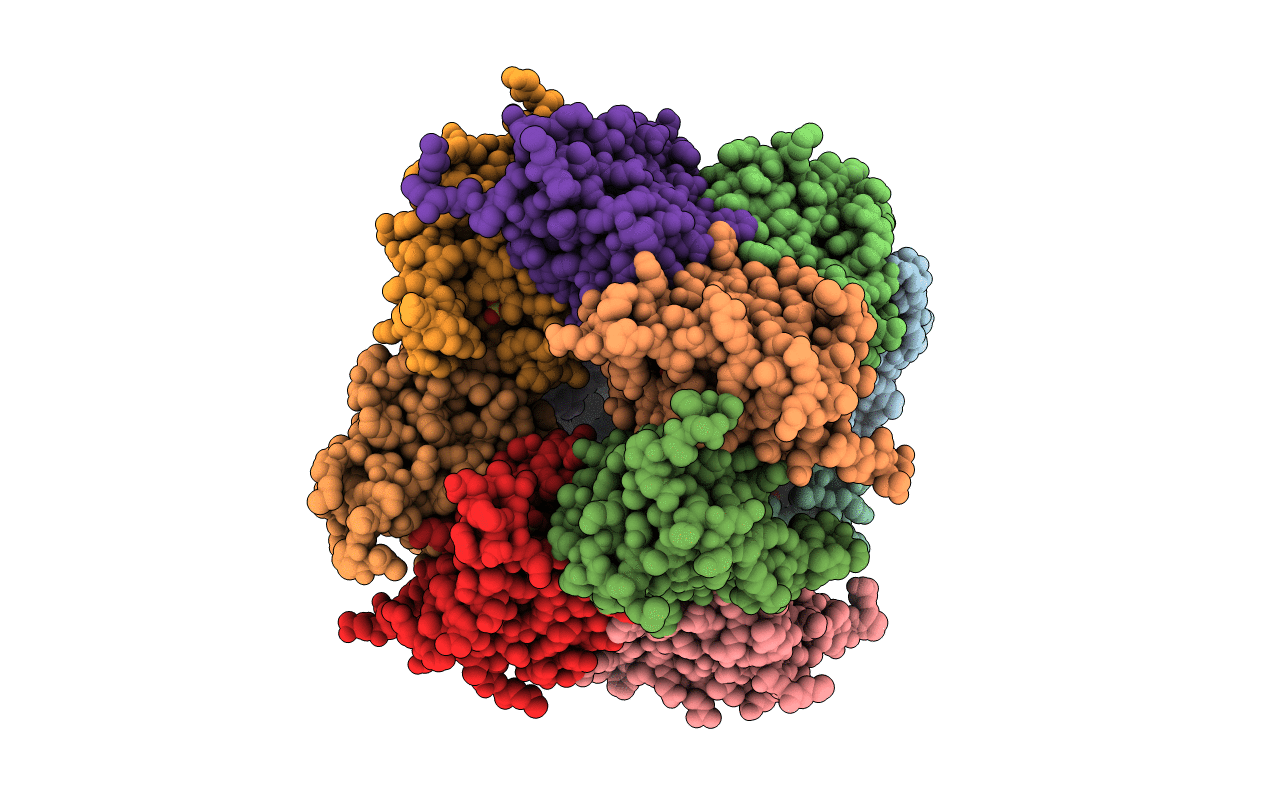 4RC9 image