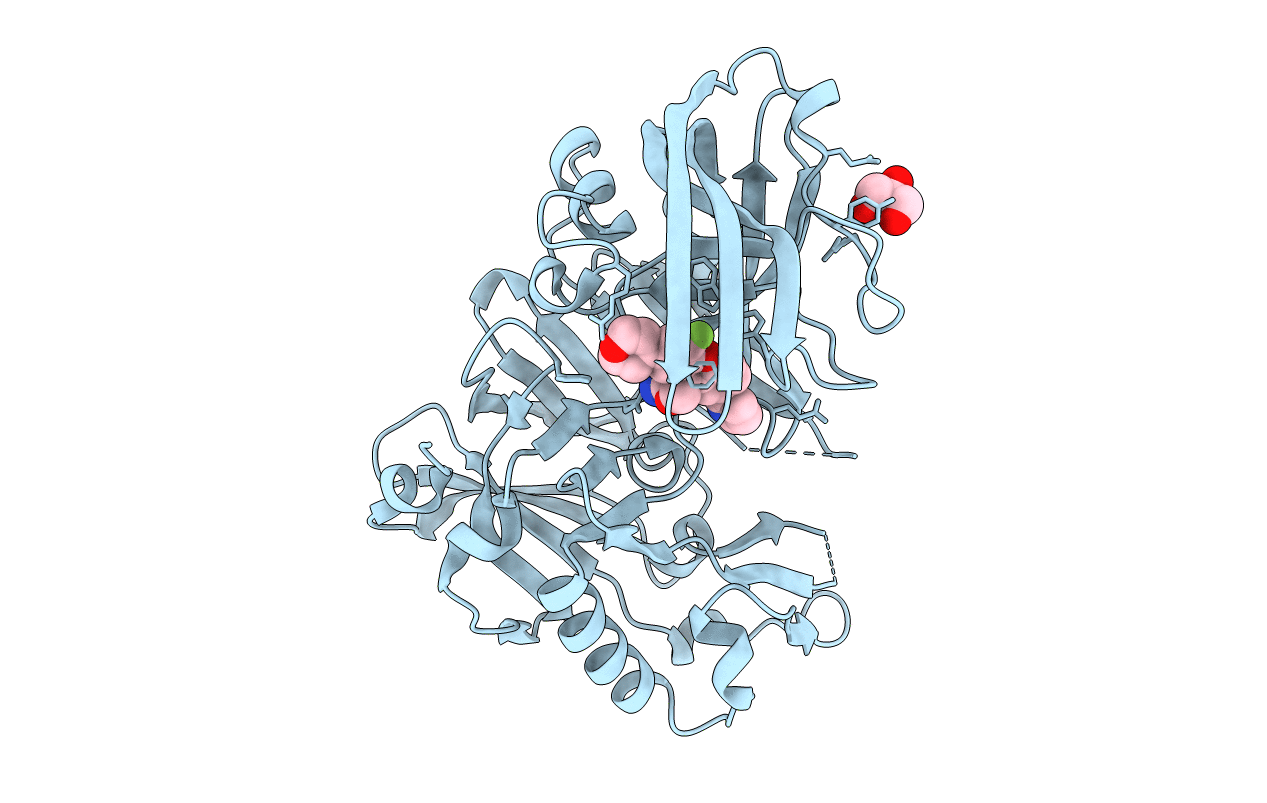 4RCF image