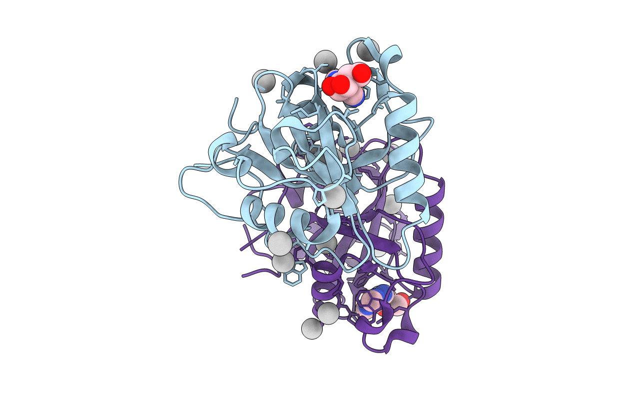 4RCM image