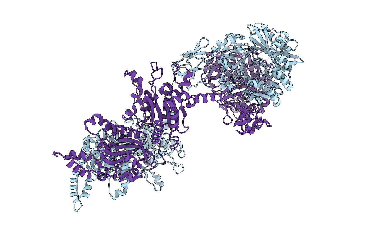 4RCN image