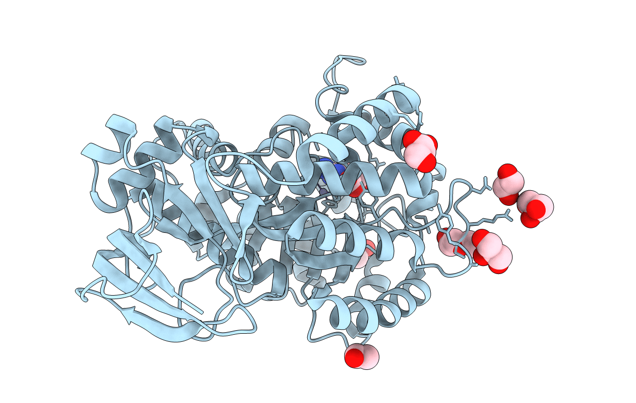 4RDW image