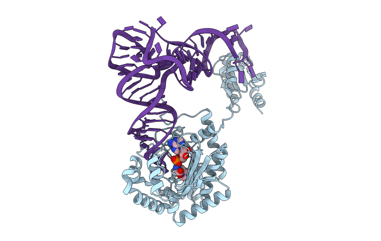 4RDX image