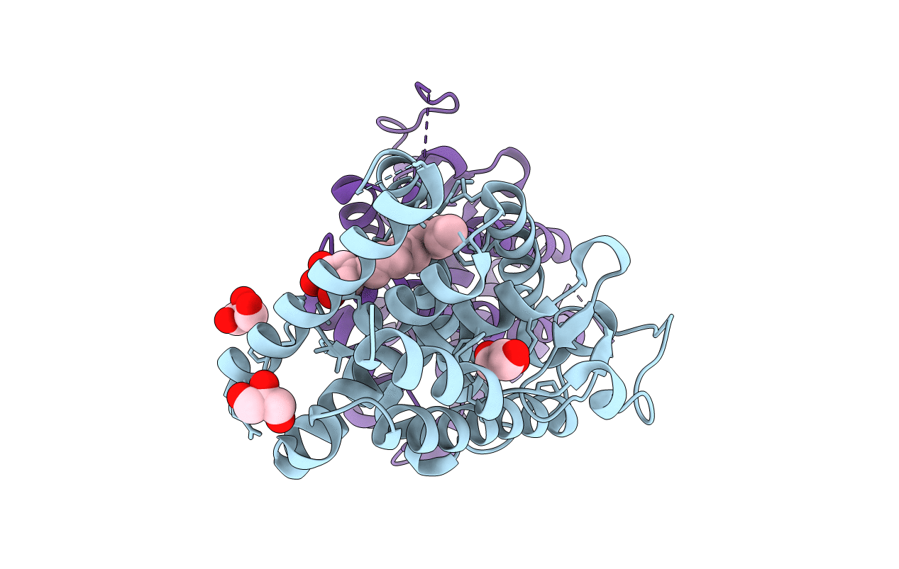 4RE8 image